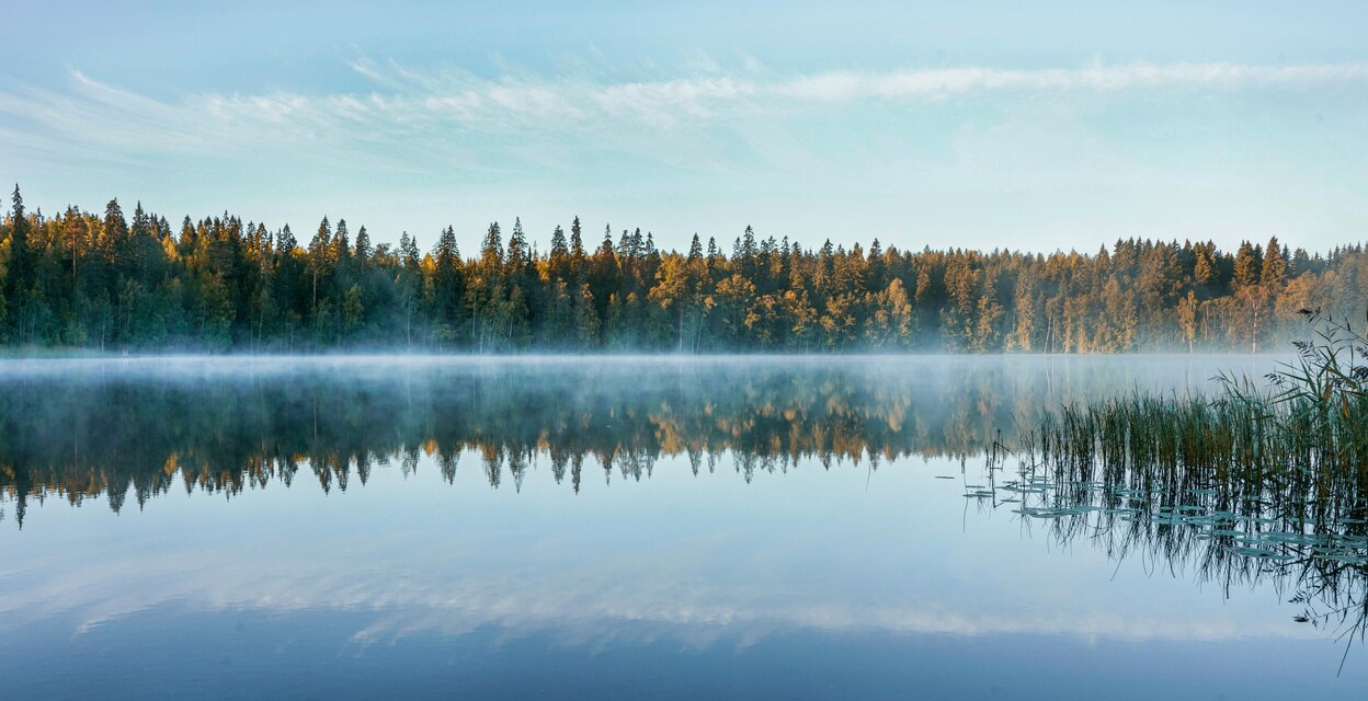 Välkommen att anmäla dig tillvåra kurser, föreläsningaroch evenemang!